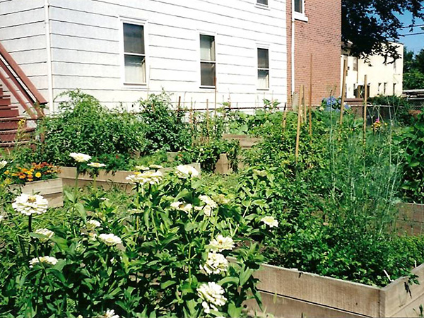 Williams Street Gardens