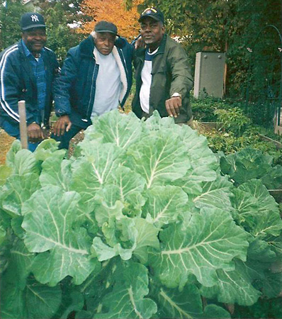 Williams Street Gardens