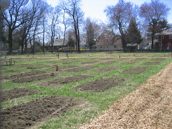 Garden plots