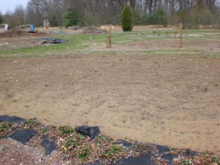 Enfield Common Grounds Rotary Garden