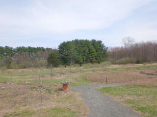 Enfield Common Grounds Rotary Garden