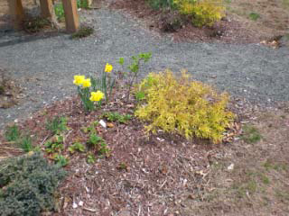 Enfield Common Grounds Rotary Garden