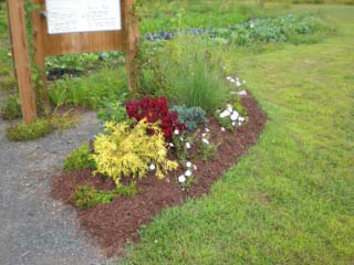 Enfield Common Grounds Rotary Garden