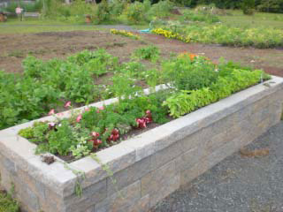 Enfield Common Grounds Rotary Garden