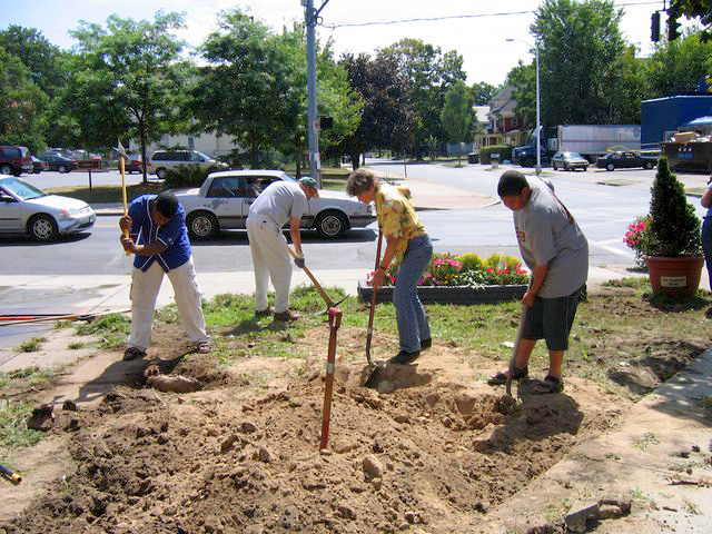 Loosening the soil