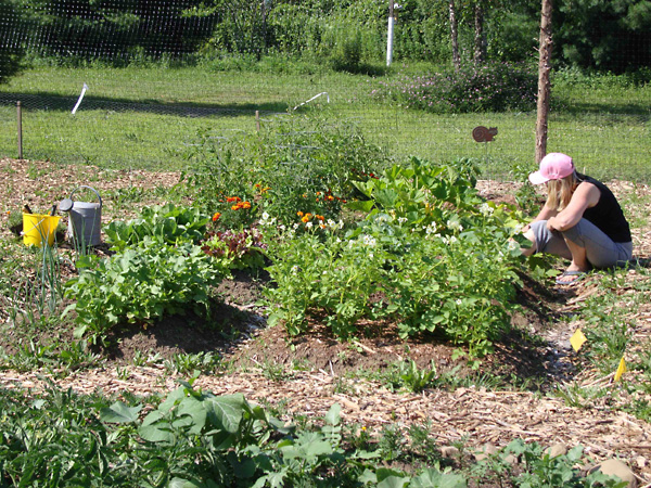 Branford Community Garden