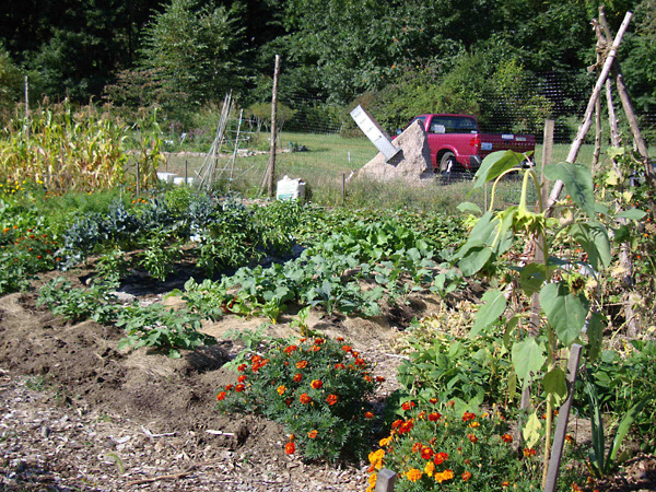 Branford Community Garden