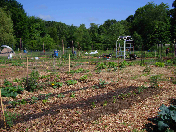 Branford Community Garden