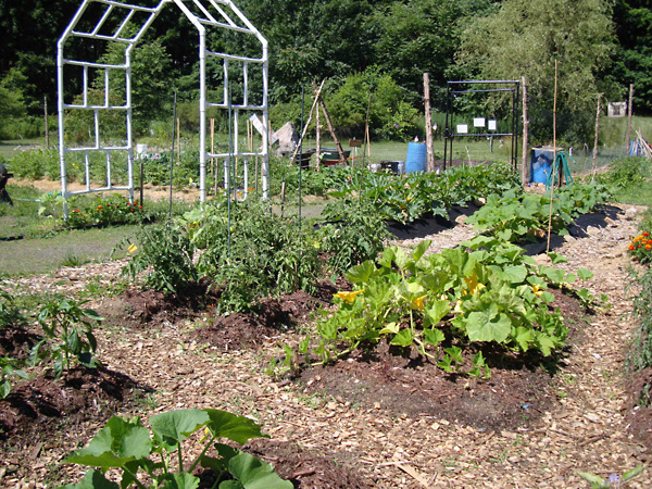 Branford Community Garden