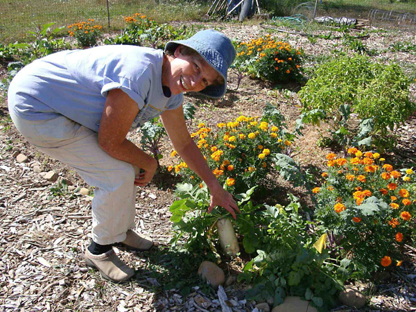 Branford Community Garden