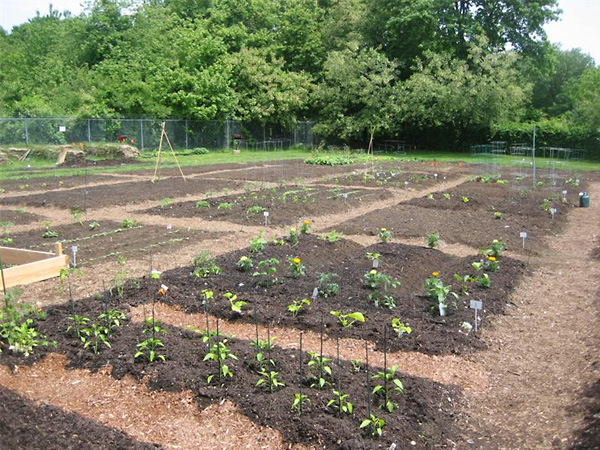 Groton Community Garden