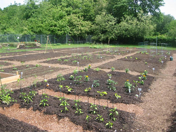 Groton Community Garden