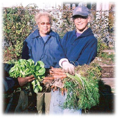 Community Gardens