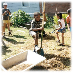 Community Gardens