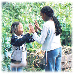 Community Gardens